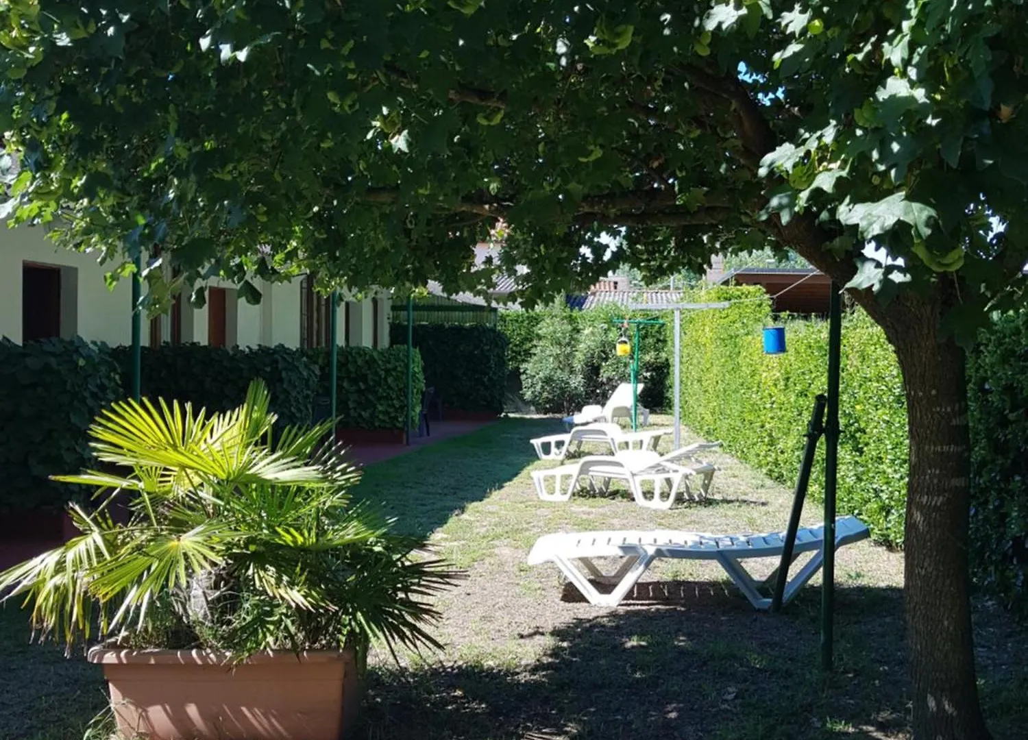Appartamenti Perla Verde Cavallino-Treporti