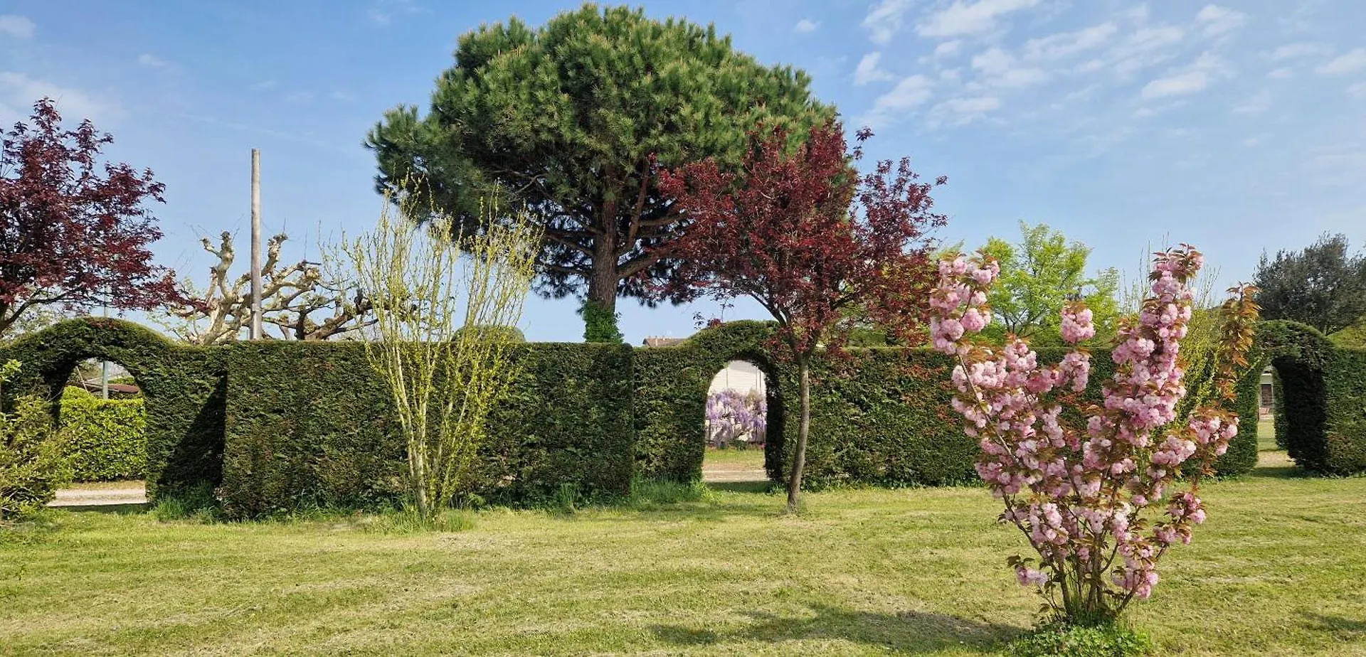 Appartamenti Perla Verde Cavallino-Treporti 0*,