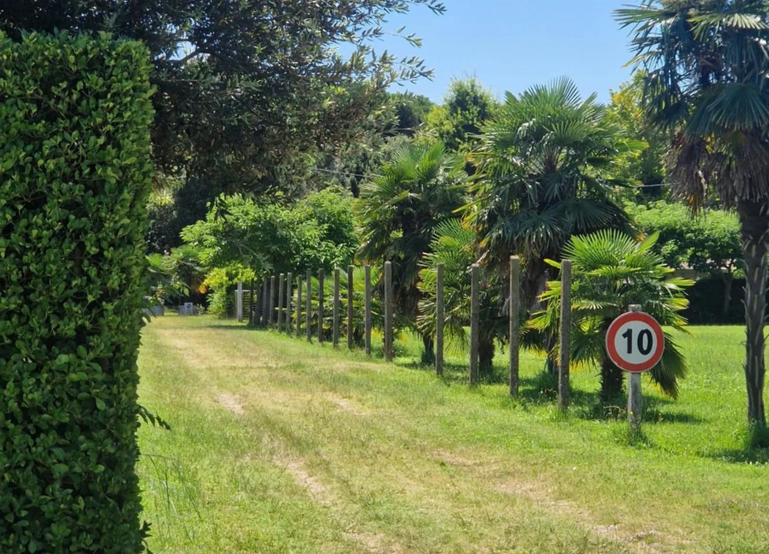 Appartamenti Perla Verde Cavallino-Treporti 0*,